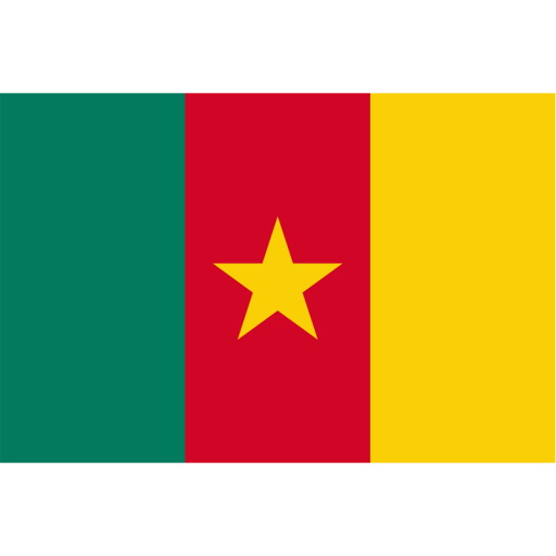 ទង់ជាតិកាមេរូន កាមេរូន