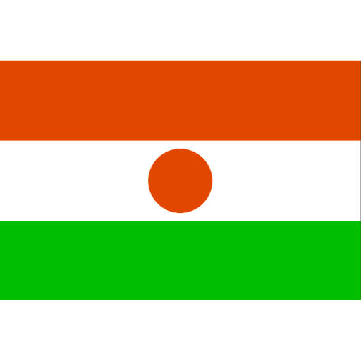 បាល់ទាត់នៅនីហ្សេ នីហ្សេ