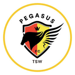 Hong Kong Pegasus Football Club Hong Kong Pegasus Football Club