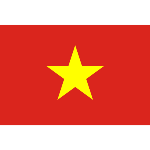 Vietnam football team