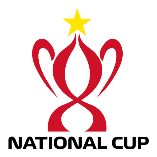 Vietnamese National Football Cup